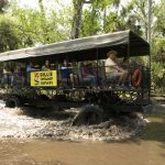 Episode 6a: Billie Swamp Safari Destination Preview