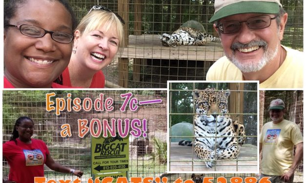 Episode 7c: BONUS – Big Cat Rescue