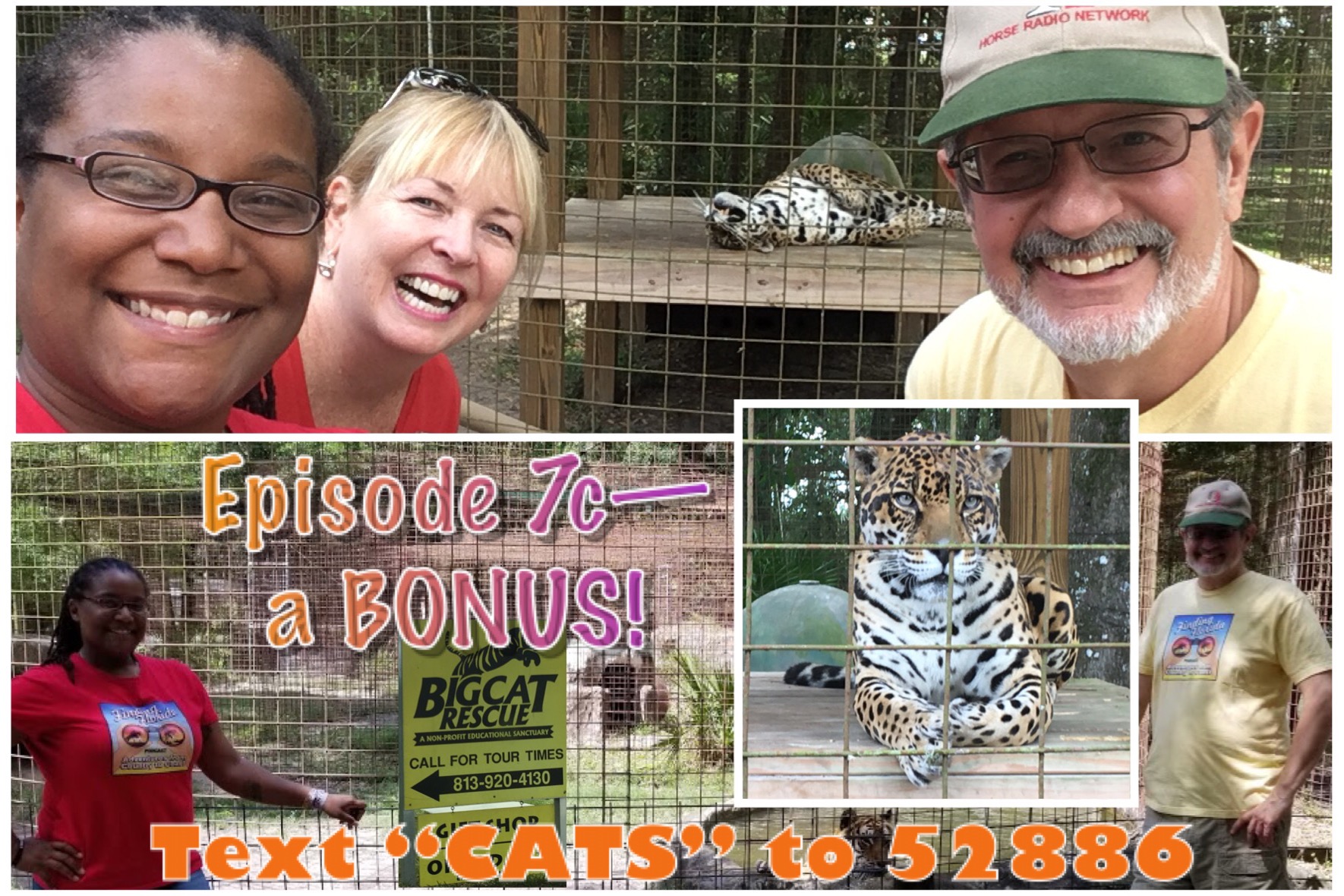 One of the Biggest Accredited Sanctuaries Dedicated to Big Cats!