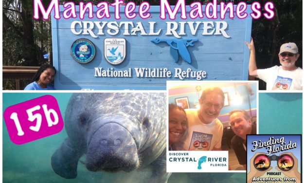 Episode 15b: Manatee Madness in Crystal River