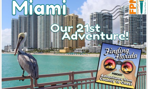 Next Adventure: Mashup in Miami