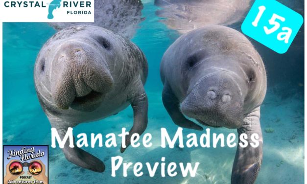 Episode 15a: Manatee Madness in Crystal River Preview