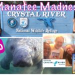 Episode 15b: Manatee Madness in Crystal River